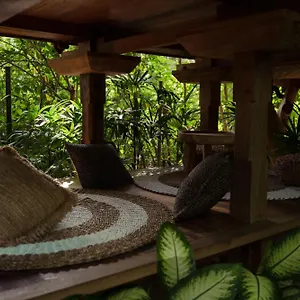 roots-tree-house.hotelsseminyak.net/